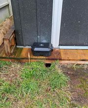 Action 3D Nuisibles image 1