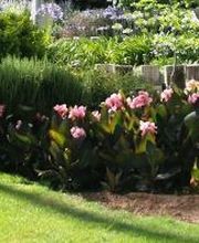 Vogt Gartendesign Bild 2