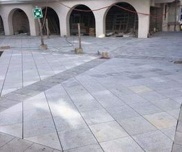 Mendes Cavao Btp image 13