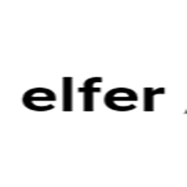 Elfer Ascensori logo