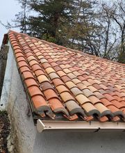 Renard Dianni image 19