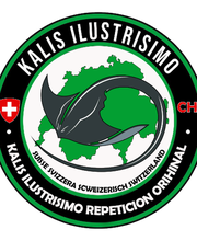 Kampfkunst Zirkel Bearhard Bild 7