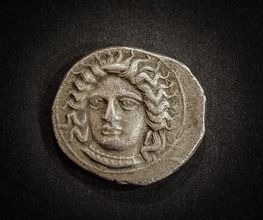 Espace Collections image 14