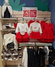 Orchestra SAINT QUAY PERROS - Lannion image 5