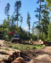 Entreprise forestière Daniel Ruch SA Bild 12