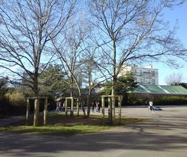 Ecole La Providence image 4