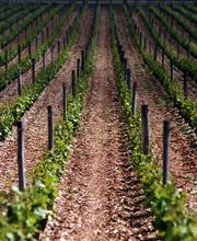 Fleurot Louis image 7