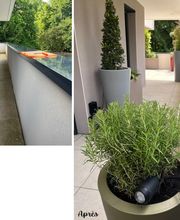 Daniel Moquet signe vos jardins - Ent. Mongin - Bernard image 4