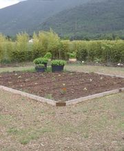 Jardin école bio image 2