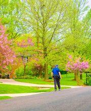 Vista Valley Tree Service Inc image 6