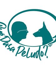 Quepasapeludo-logo.png