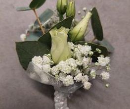 Blumen Dahlmann Bild 13
