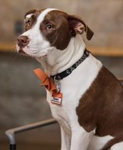 Linworth Family Dental image 9