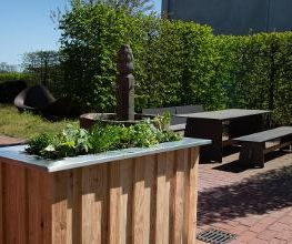 WellnessundGarten.de Bild 13