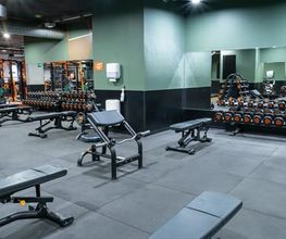 Basic-Fit imagen 2