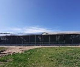 Halle mit Solaranlage, Schwabenglanz, 88605 Meßkirch