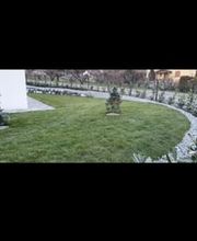 Gueorguieva Navarro Bild 5