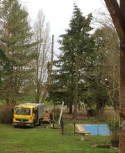 Bordet/Hérault Elagage image 9