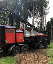 Breizh Arborescence image 5