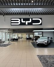 BYD | Senger Bild 3