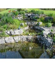 Rieger Gartengestaltung GmbH & Co. KG Bild 5