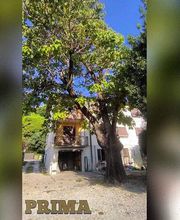 IdealFlora di Davide Gagliardini Bild 7