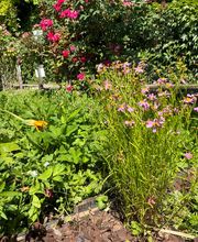 Au détour d'un jardin image 9