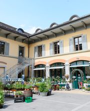 Gartenbauschule Hünibach Bild 13