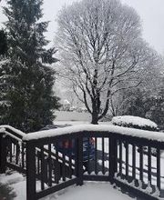 Joyce Torelli - Broker, Real Estate Consultant image 7