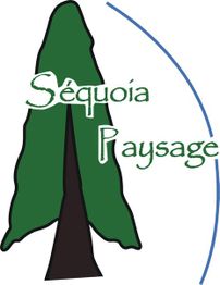 Sequoia Paysage