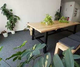 Sitzbänke mit Sitzkissen an einem Tisch mit Topfpflanzen