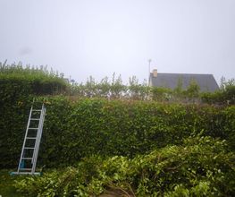 Les Jardins Secrets image 5
