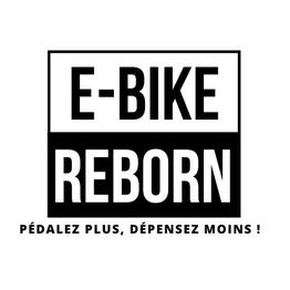E-Bike Reborn