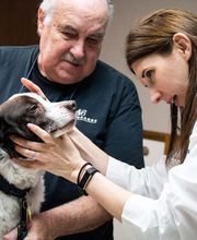 Three Trails Animal Hospital image 2