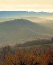 F & F Immobilier image 1