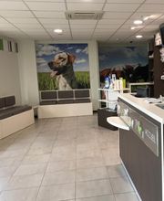 Vet 02 Selarl image 4