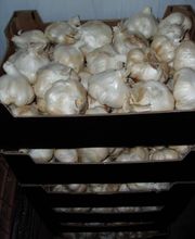 CEBESTUR,S.L. imagen 5