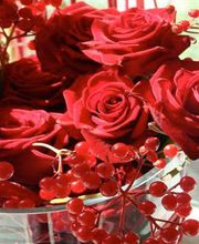 la-magnolia-floristes-rosas-rojas-01.jpg