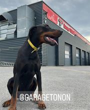Garage TONON image 9