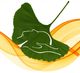 Sonja Henn Praxis für Naturheilkunde - Craniosacrale Osteopathie · Cluster Medizin · Wirbelsäulentherapie nach Dorn