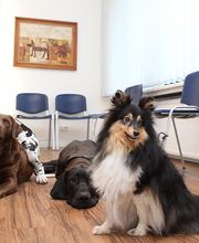 Dr. Uwe Jaspers, Kleintierpraxis Bild 5