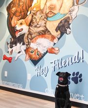 River Oak Vet image 13