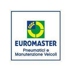 Euromaster Rinovis logo