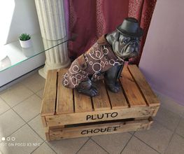 Pluto Chouet' image 18