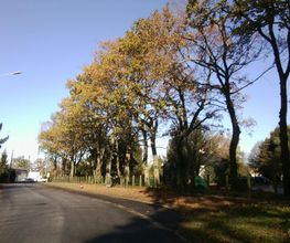 Instant Paysage image 6