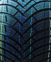 T.Z. Gomme Euromaster immagine 9