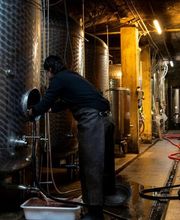 Weingut Wolf Bild 2