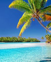 Australasia & Africa Reisen AG Bild 4