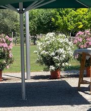 Restaurant Eulachpark Halle 710 Bild 5