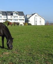 L.deRham Equitation Bild 2